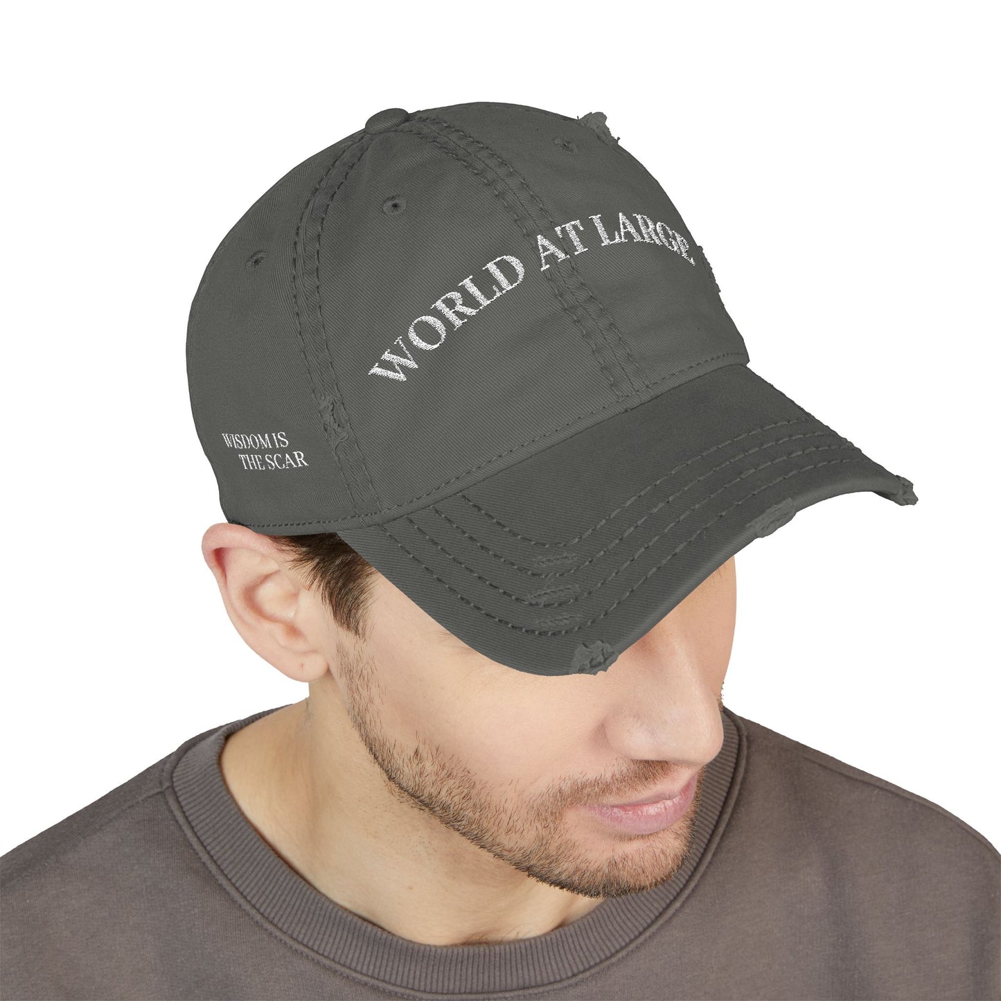 Distressed Dad Hat - World at Large Embroidered Cap, Casual Hat for Every Day, Trendy Style, Birthday Gift, Summer Accessory